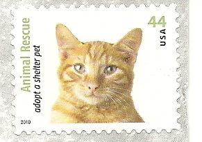 US-Briefmarke mit Katzenmotiv